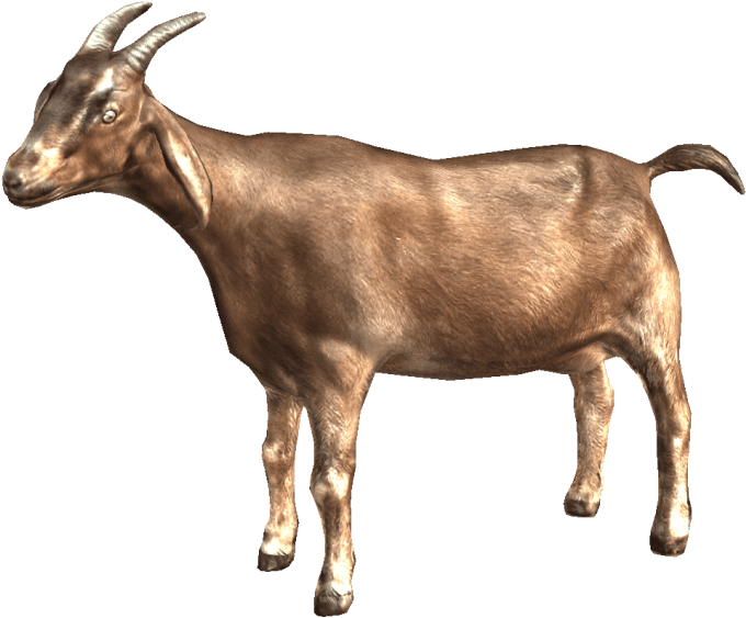 Download Download Goat Png Images Background - Transparent Background