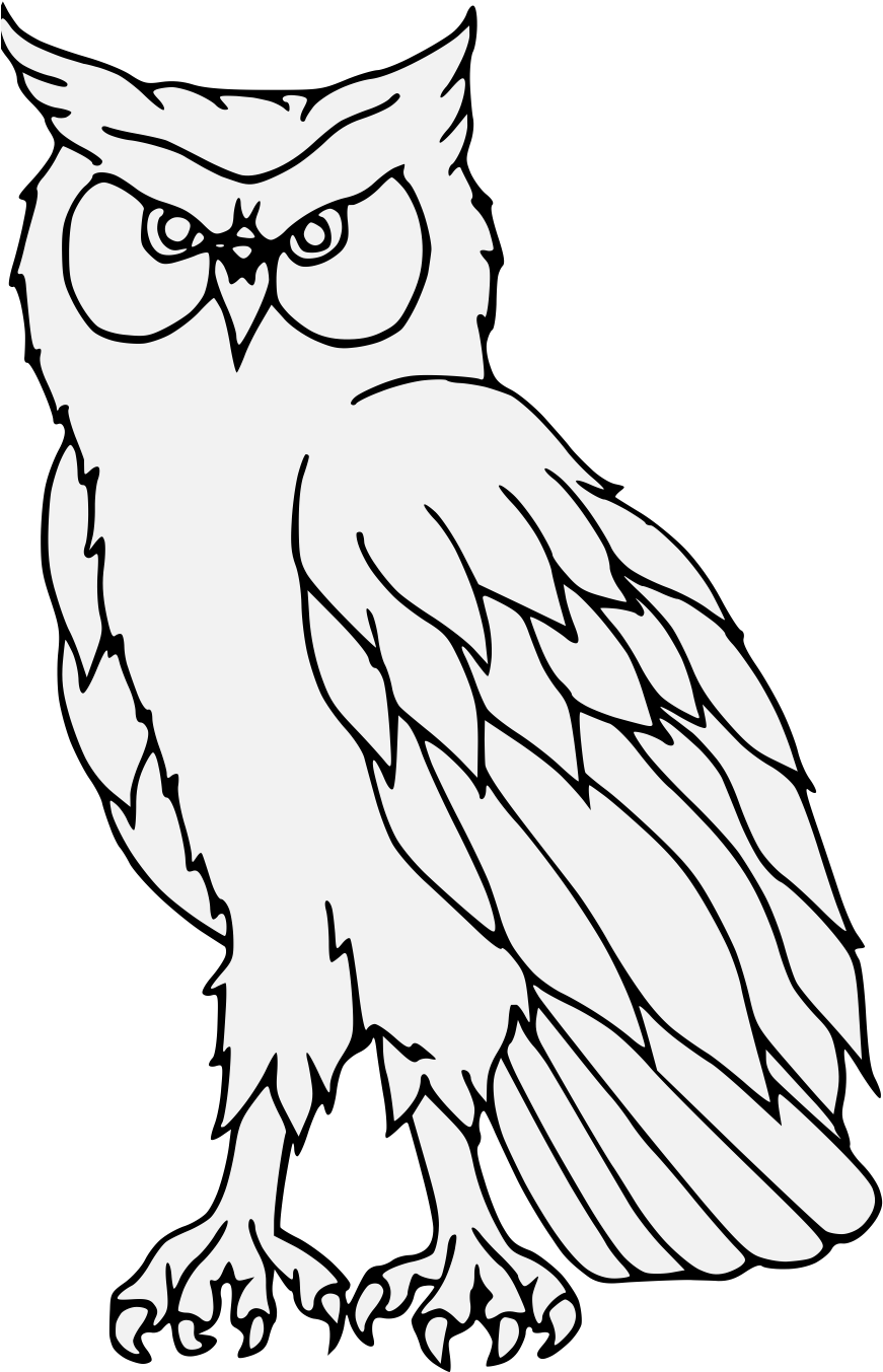 Details, Png - Eastern Screech Owl Clipart - Large Size Png Image - PikPng