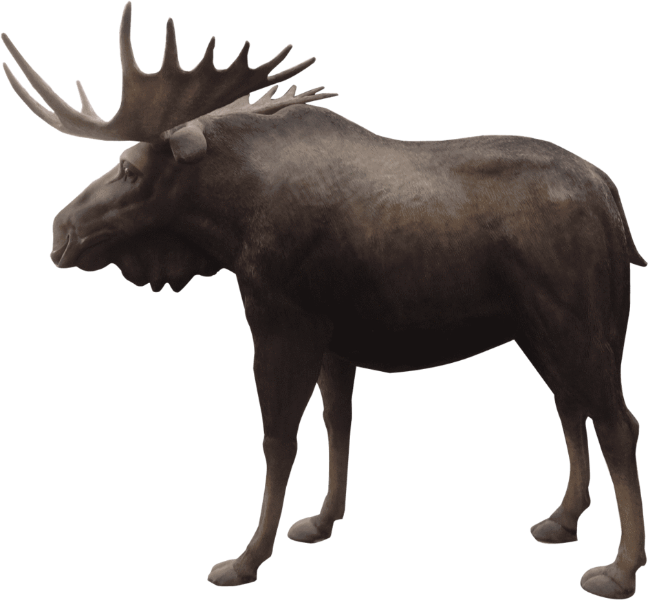 Moose Life Size Prop Resin Decor Statue- Lm Treasures - Reindeer ...