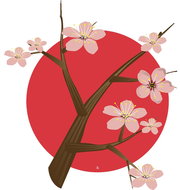 Download Japanese Flowering Cherry Png Free Download - Japan Cherry