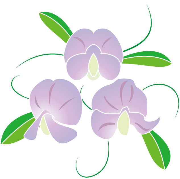 春の花2 06 スイートピーイラスト Clipart Large Size Png Image Pikpng