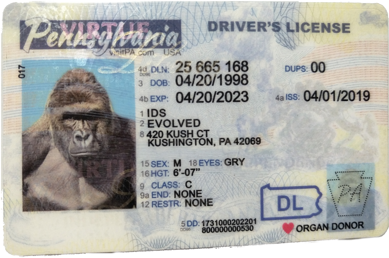 New Pennsylvania Fake Id - Pa Holograms On License Clipart (800x600), Png Download