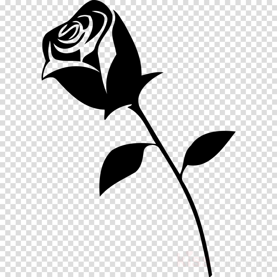 Download Rosebud Clipart Clip Art , Png Download - Black Rose Vector