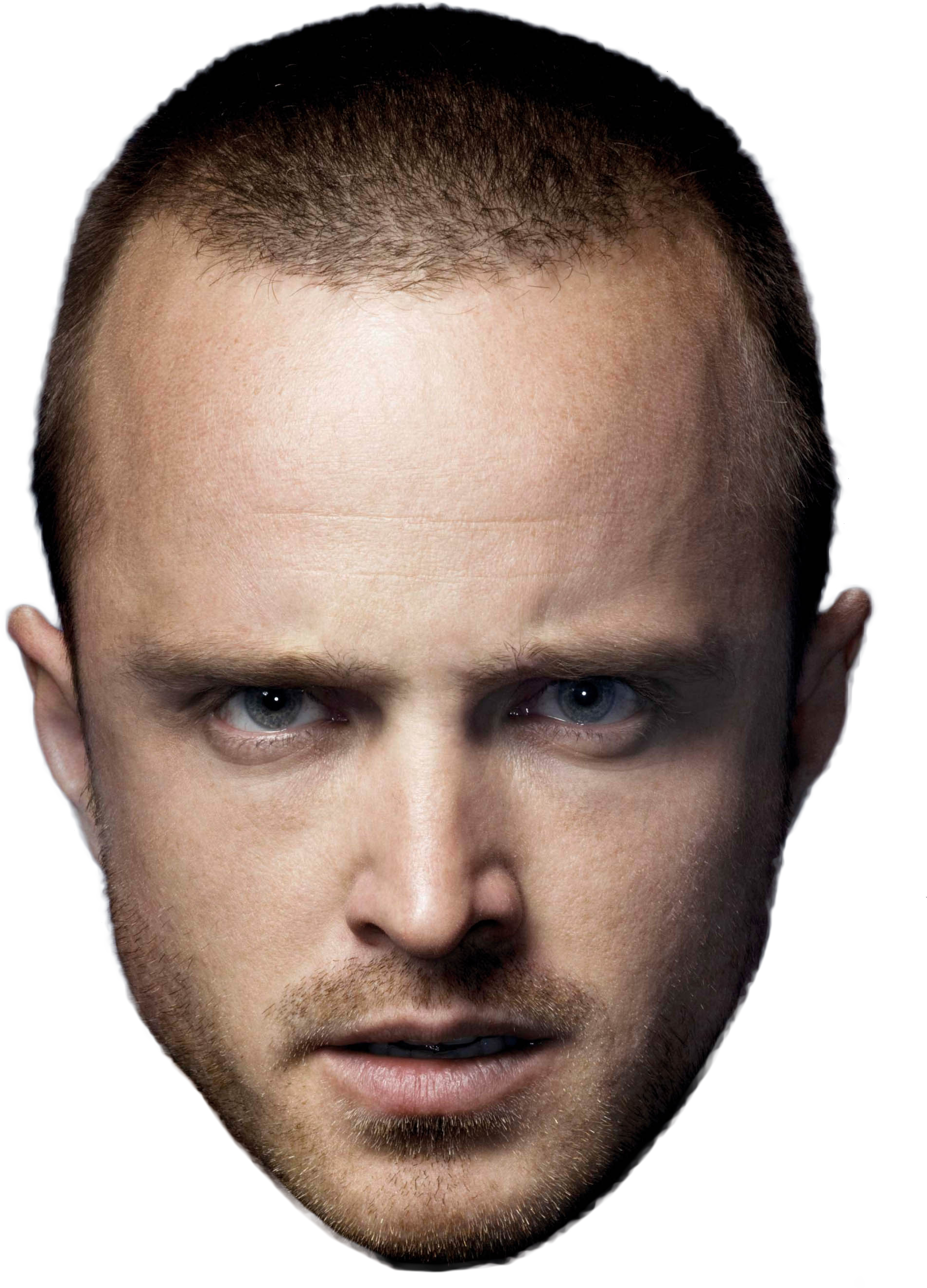 Джесси пинк. Jesse Pinkman. Jesse Pink. Джесси Брюс Пинкман. Джесси Пинкман лысый.