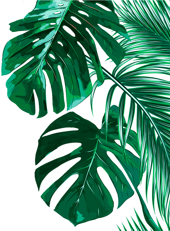 Download Tropical Banana Leaves Background Clipart Png Download - PikPng