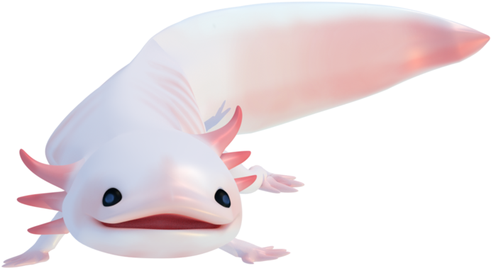 https://www.pikpng.com/pngl/b/543-5434258_axolotl-png-real-axolotl-png-clipart.png