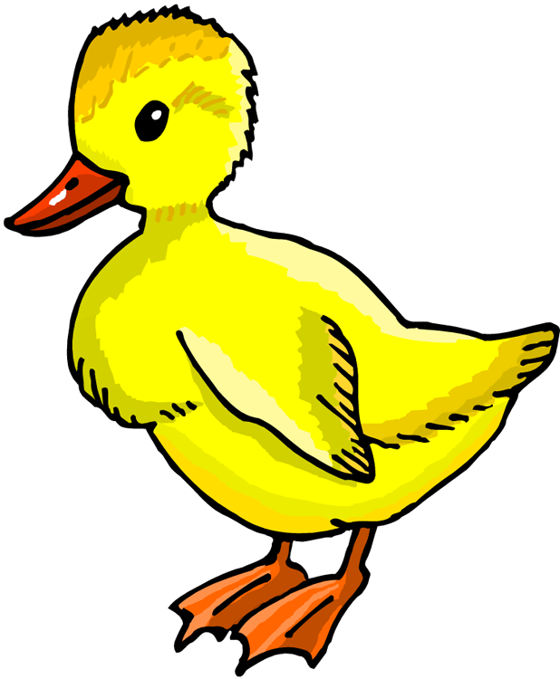 Duck Clipart Duckling Duckling Clipart Png Download Large Size Png Image Pikpng