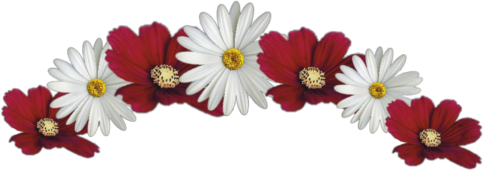 Download #flower #crown #red #white #jhyuri - Red And White Flower