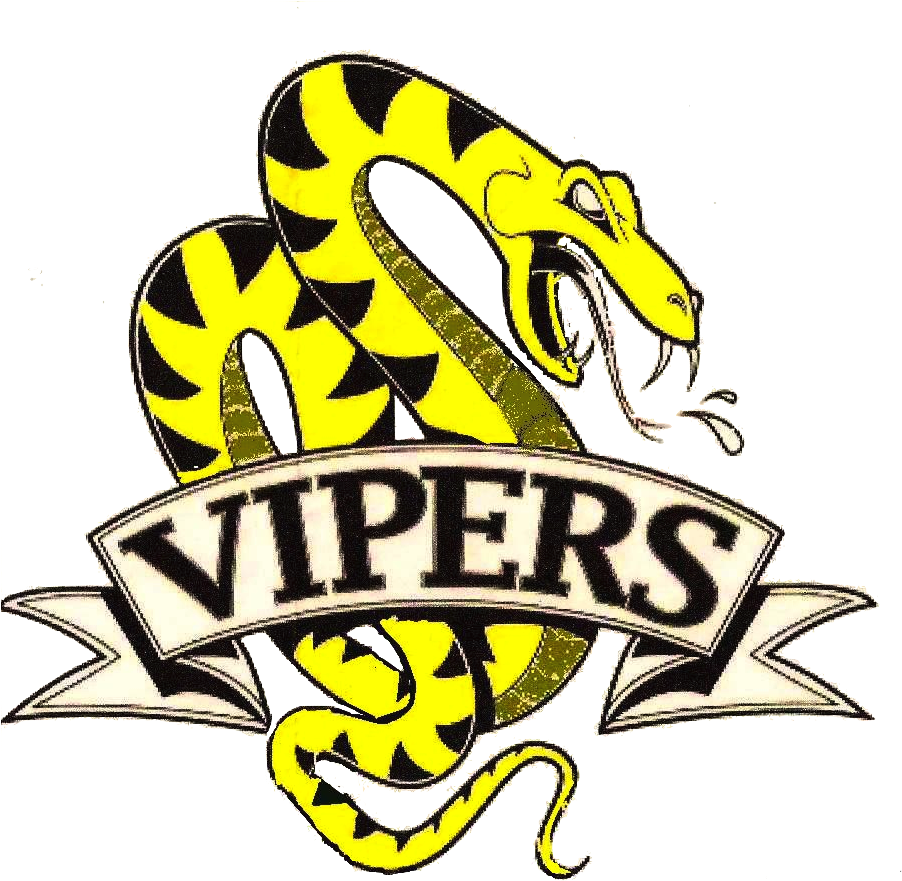 Viper Logo - Python Clipart (920x924), Png Download