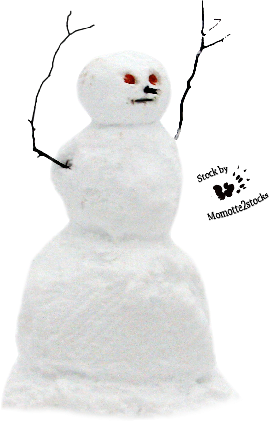 Real Snowman Transparent Background Clipart (577x999), Png Download