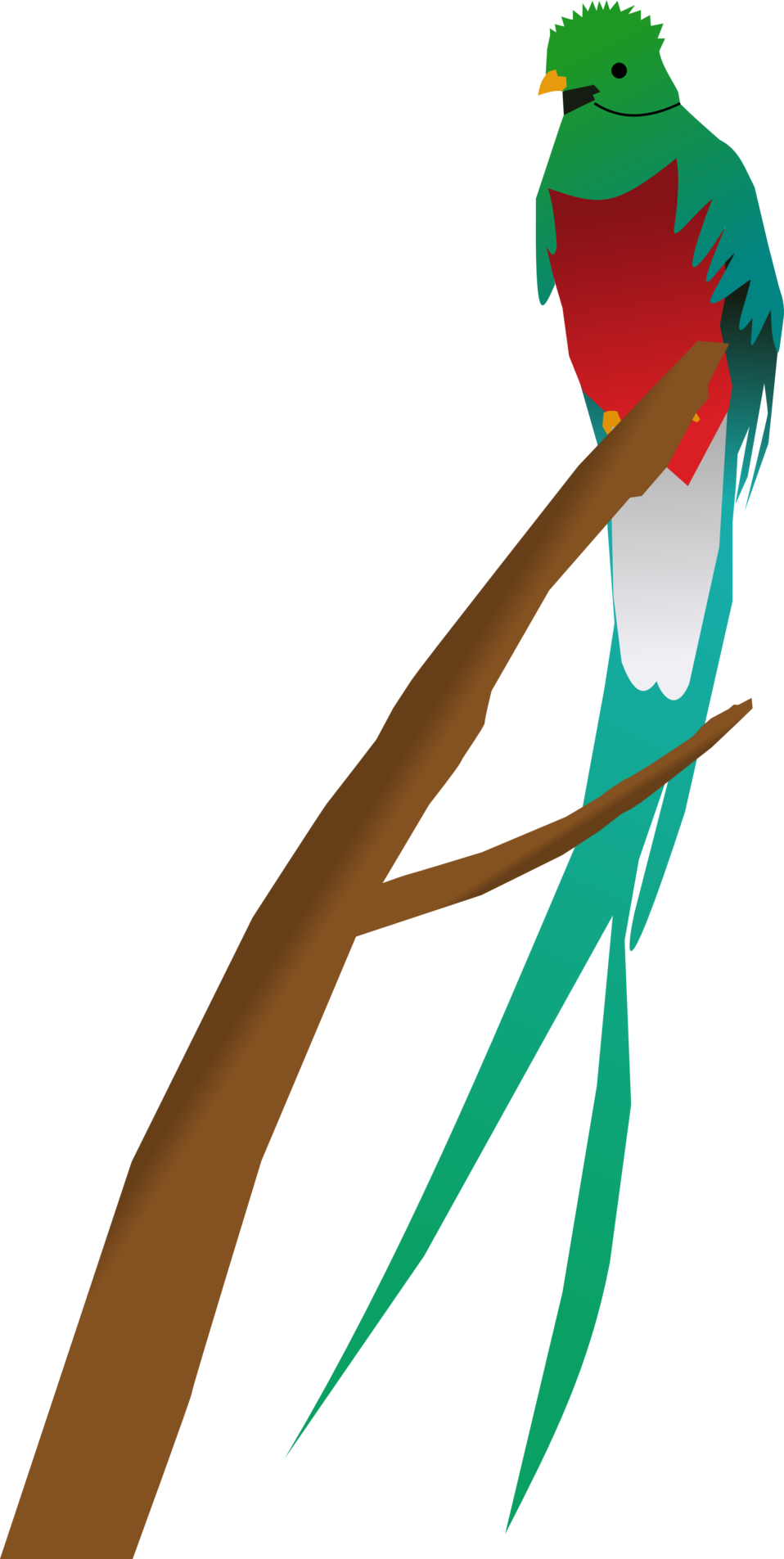 Quetzal Png - Tropical Bird Clipart Transparent Png - Large Size Png ...