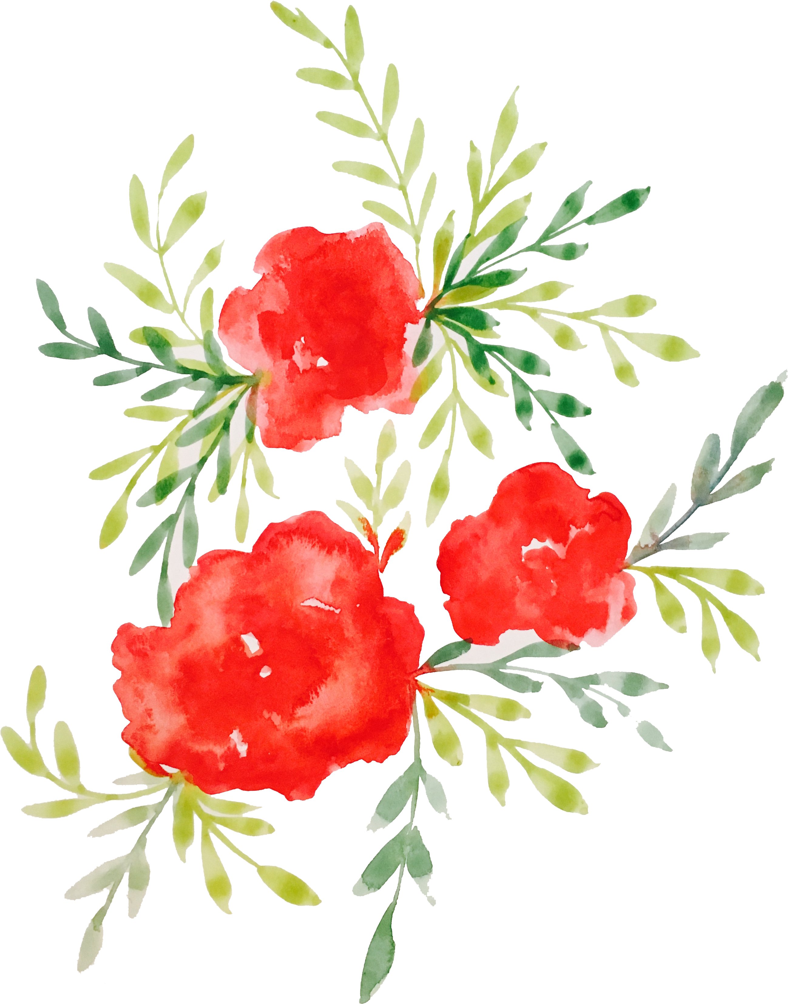 Download Watercolor Roses - Watercolor Red Flowers Transparent Clipart