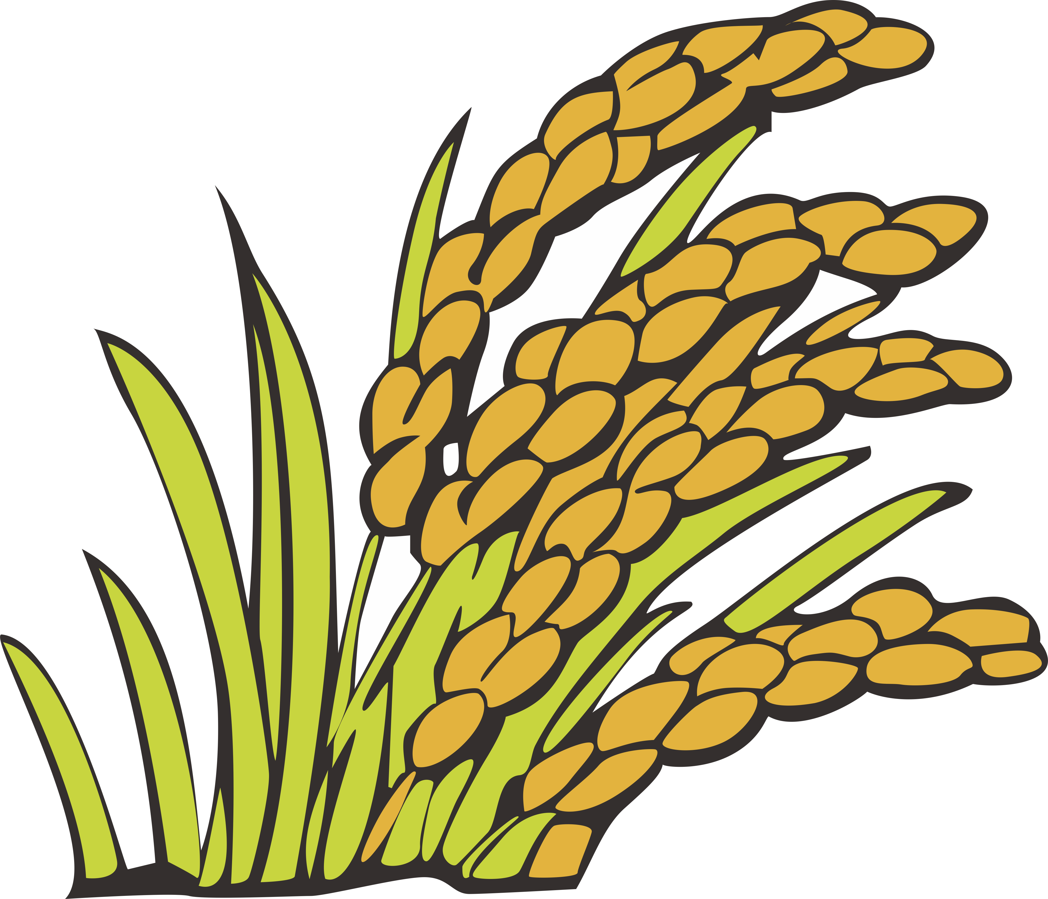 Wheat Clipart Bunga Padi - Gambar Tanaman Padi Kartun - Png Download