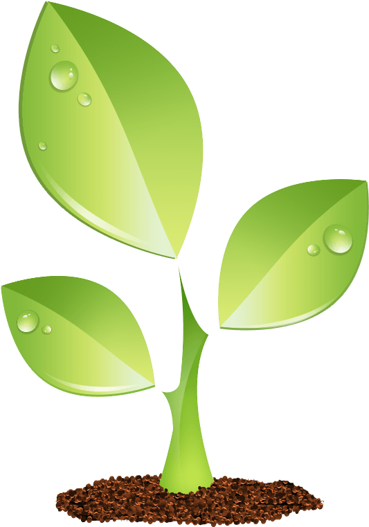 Growth Vector Green Plant - Plant Vector Png Clipart - Large Size Png ...