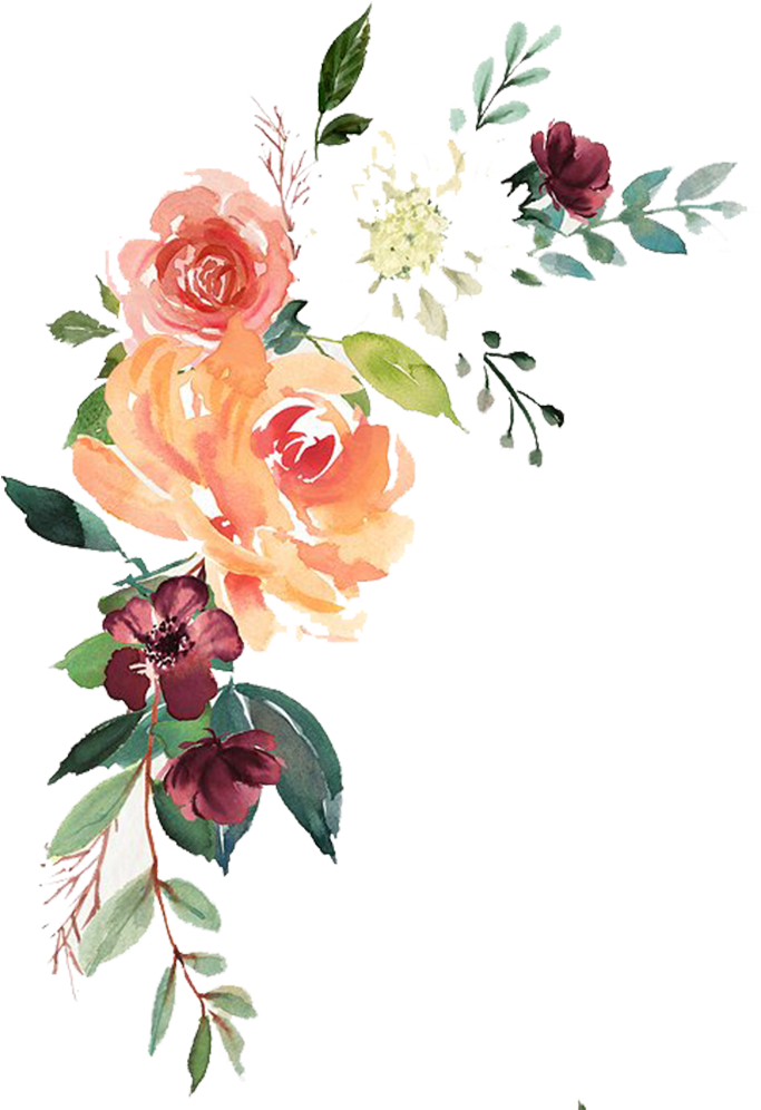 Download Watercolor Floral Transparent Png- Free Download - Free Floral