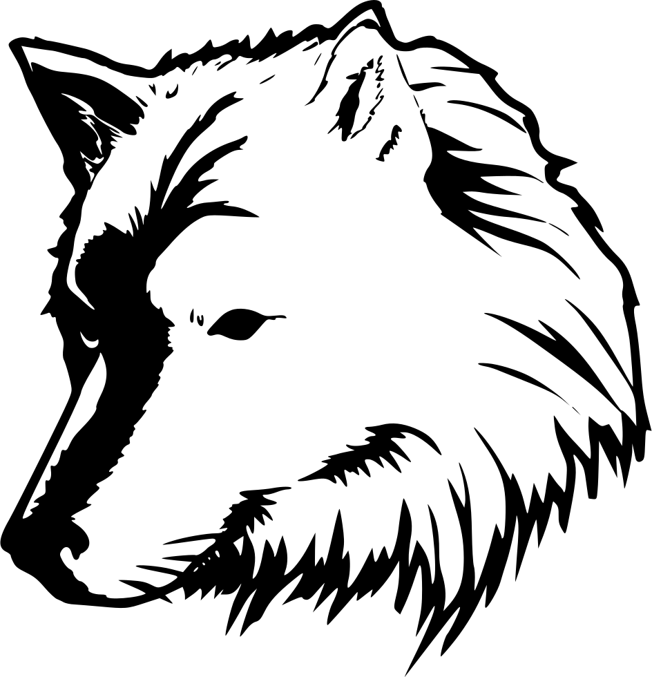 Png File - Contour Drawing Wolf Clipart - Large Size Png Image - PikPng