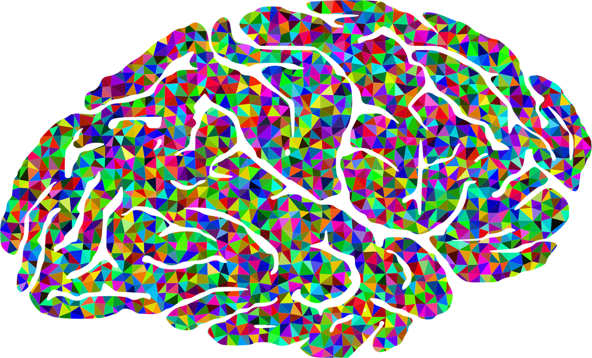 Pin Colors Clipart Brain - Brain Psychology Png Transparent Png - Large ...