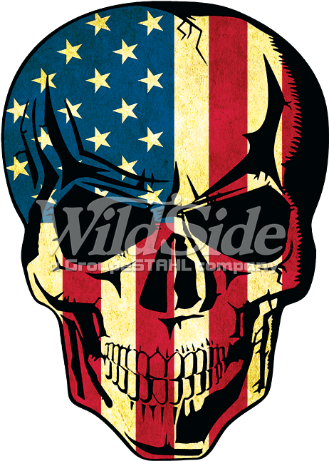 American Flag Skull Usa Flag Skull Png Clipart Large Size Png Image Pikpng