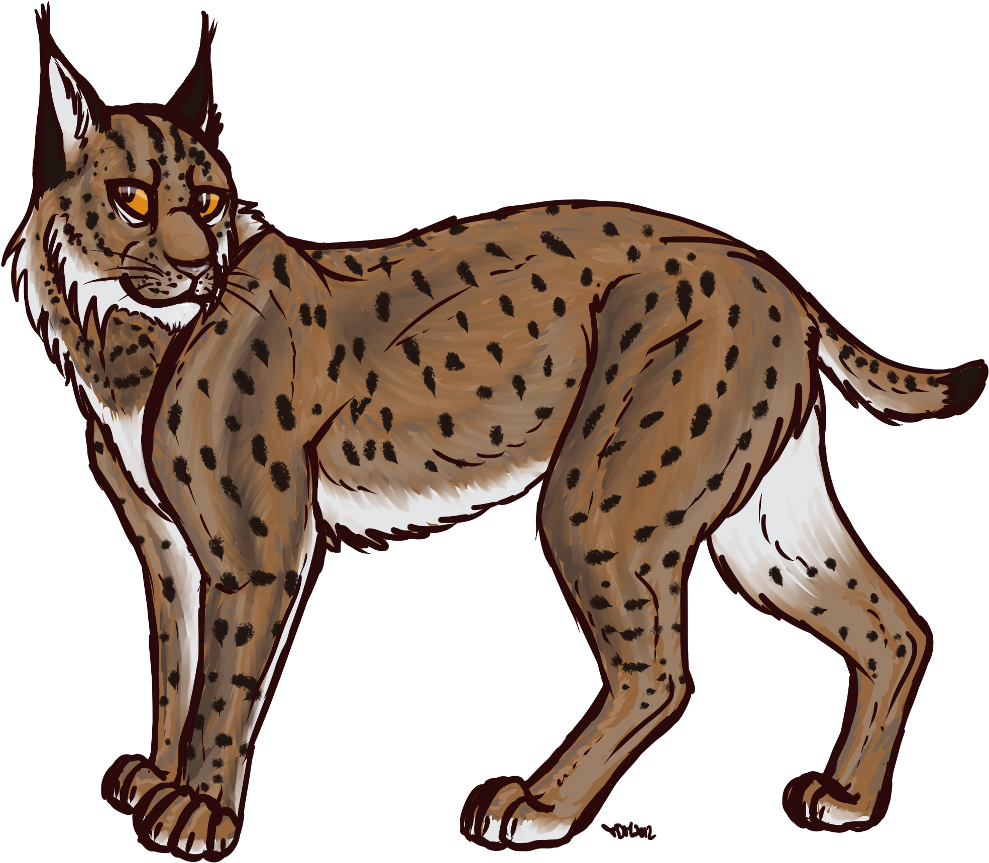 Download Lynx Transparent - Lynx Png Clipart Png Download - PikPng