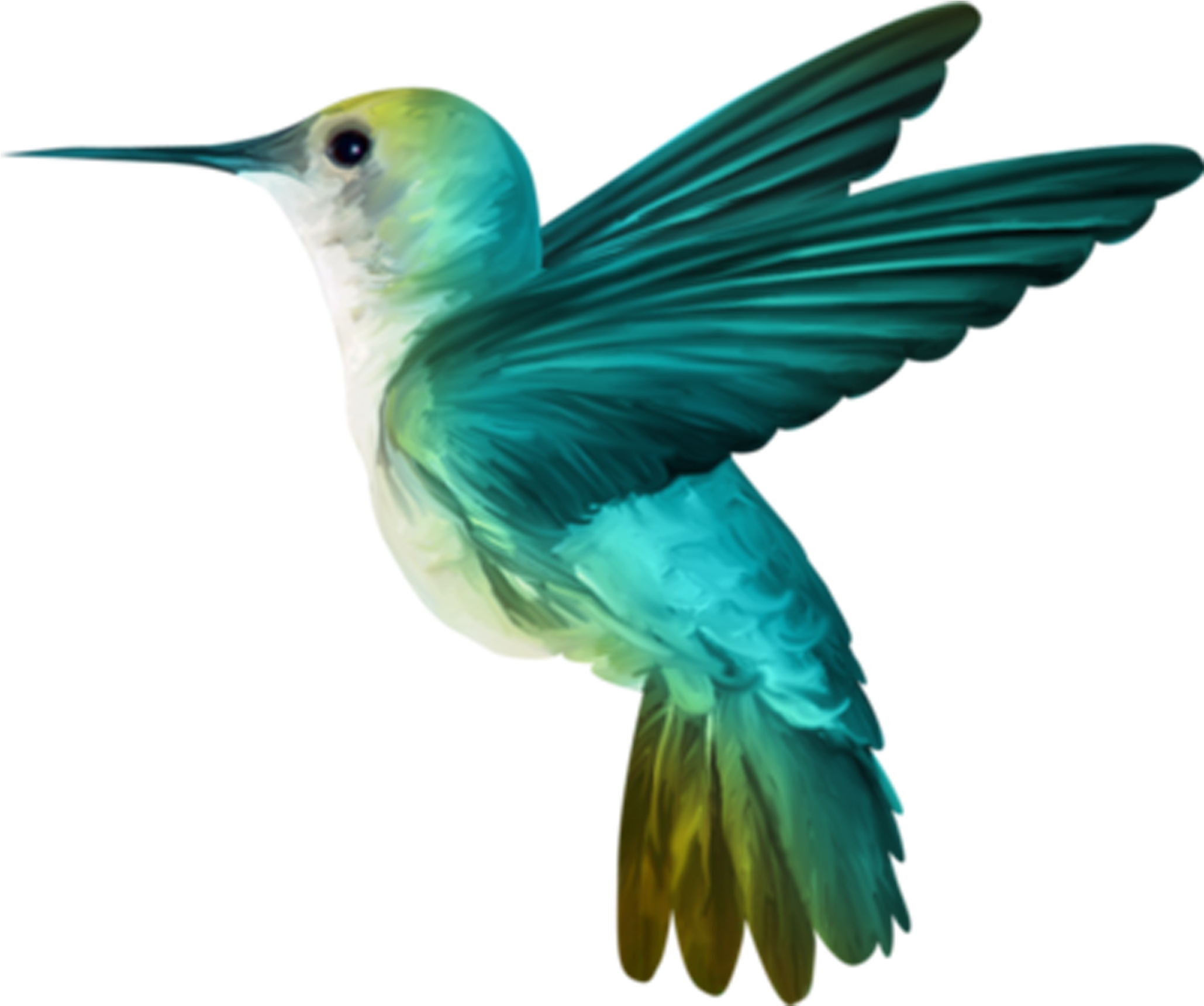 Hummingbird Png Clipart (2953x2953), Png Download