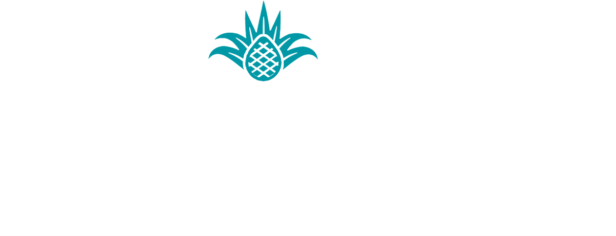 Agave , Png Download - Agave Clipart - Large Size Png Image - PikPng