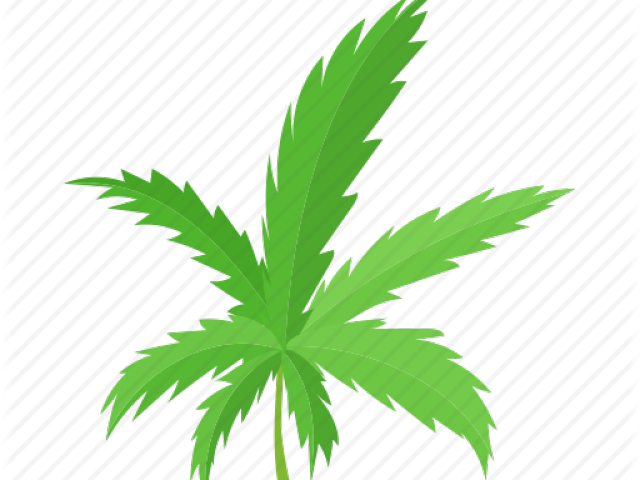 Marijuana Cartoon Png Clipart - Large Size Png Image - PikPng