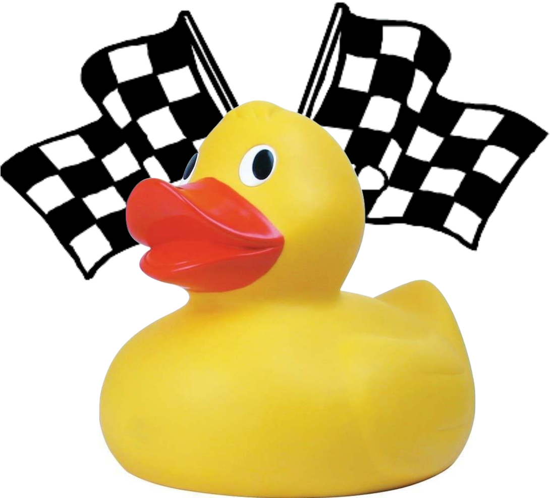 Adopt A Duck For The Family Center » Ducks - Checkered Flag Clipart ...