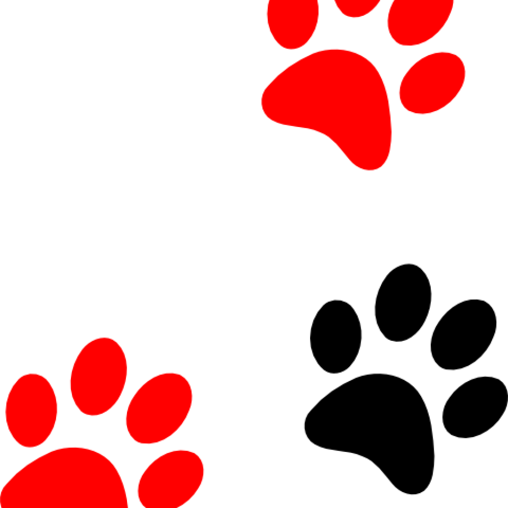 Paw Print Clip Art Camping Clipart Grille Tricot Patte De Chat Png Download Large Size Png Image Pikpng