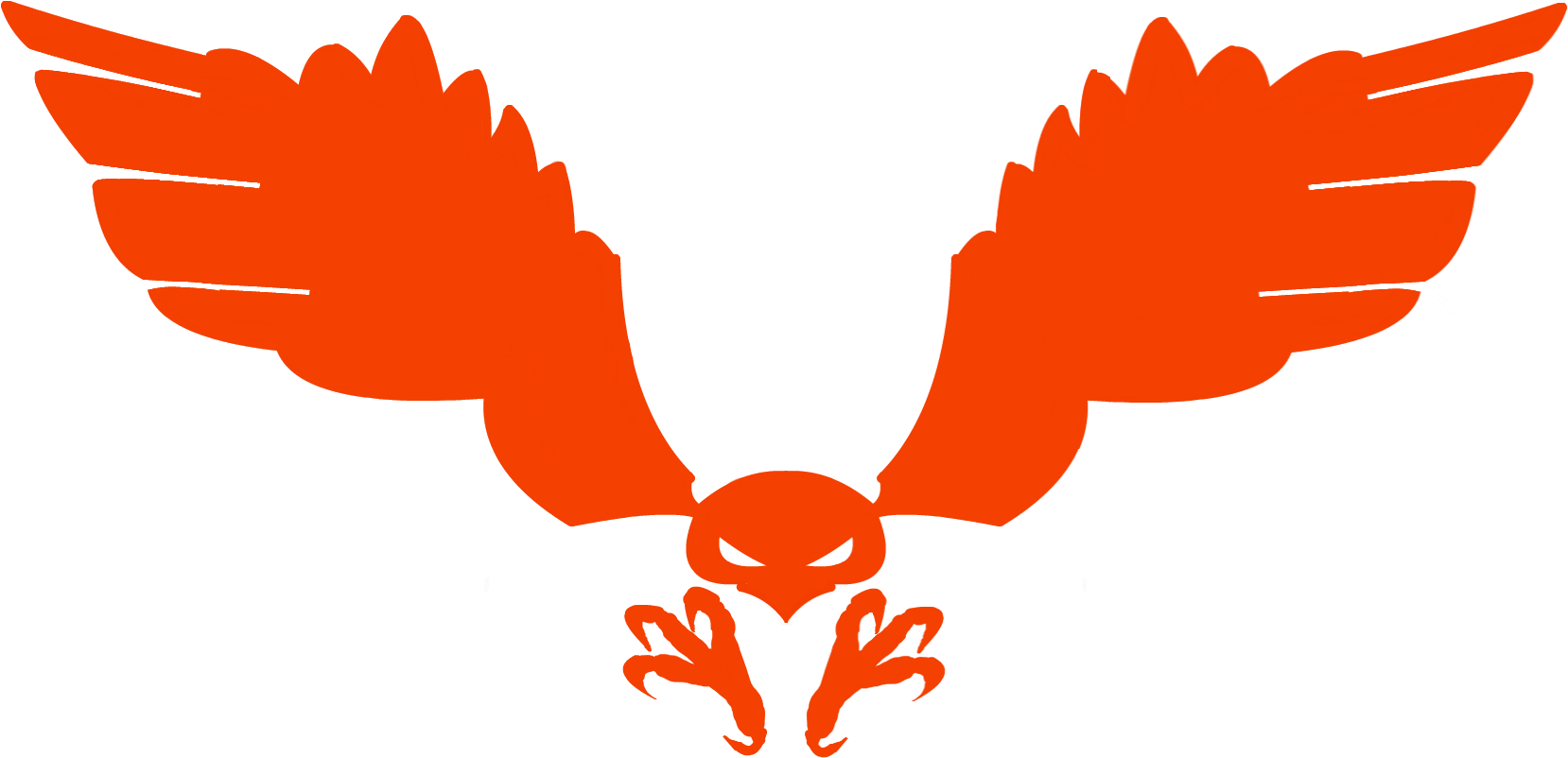 Orange Hawk Logo Clipart - Large Size Png Image - PikPng