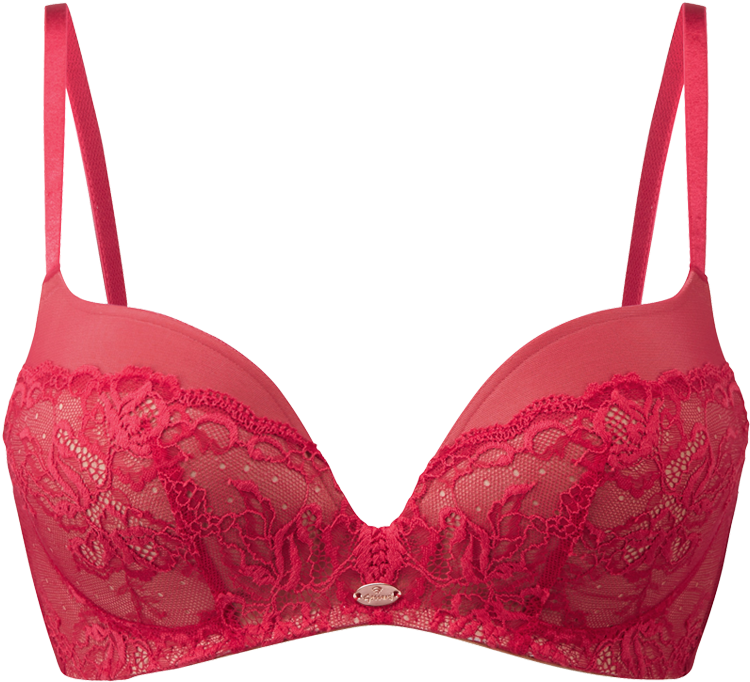 Bra Clipart Large Size Png Image Pikpng 0966