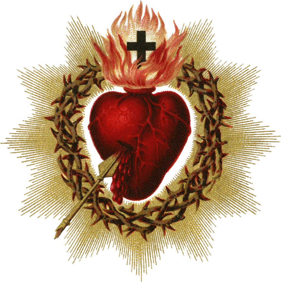 Sacred Heart Png Picture - Sacred Heart Of Jesus Png Clipart - Large ...