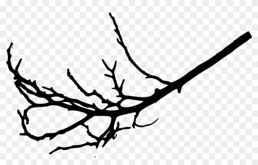 Free Png Tree Branches Silhouette Png Images Transparent Tree