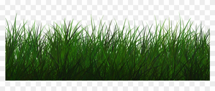 Download Free Transparent Grass Texture Seamless Png - Grass Photoshop