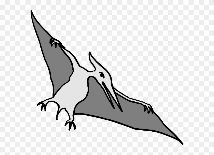 Simple Pterodactyl Art Clip Art At Clker Com Vector - Illustration ...