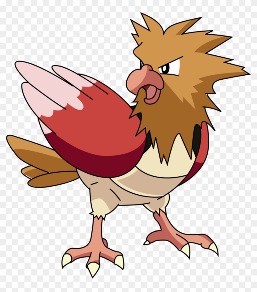 Download Pokemon Pidgey Completo En Wikidex Fandom Powered By - Sparrow 