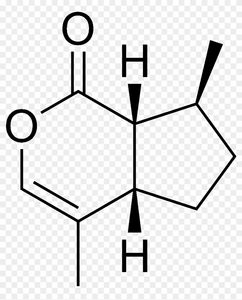 985 X 1162 1 - Nepetalactone Chemical Structure Clipart