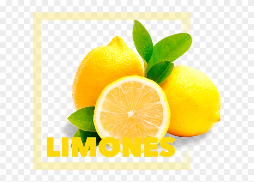 Lemon Tree Png Clipart