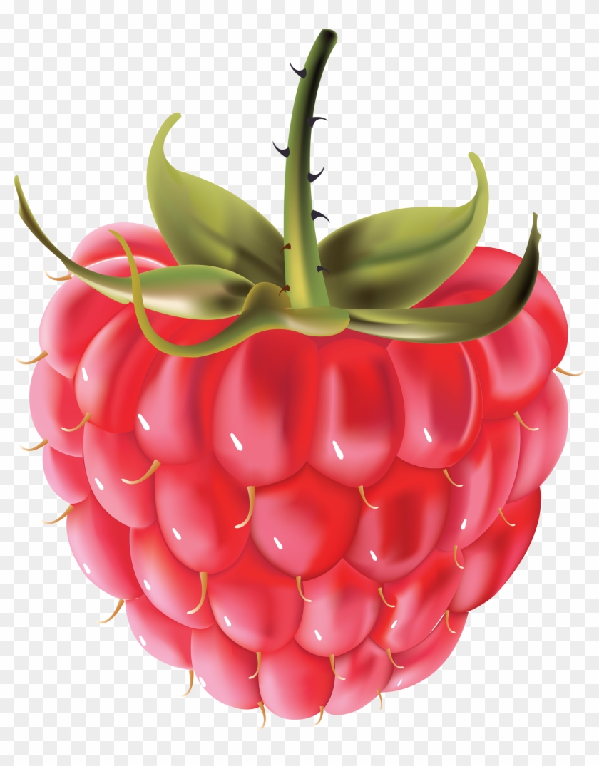 Rraspberry Png Image Clipart (#1118958) - PikPng