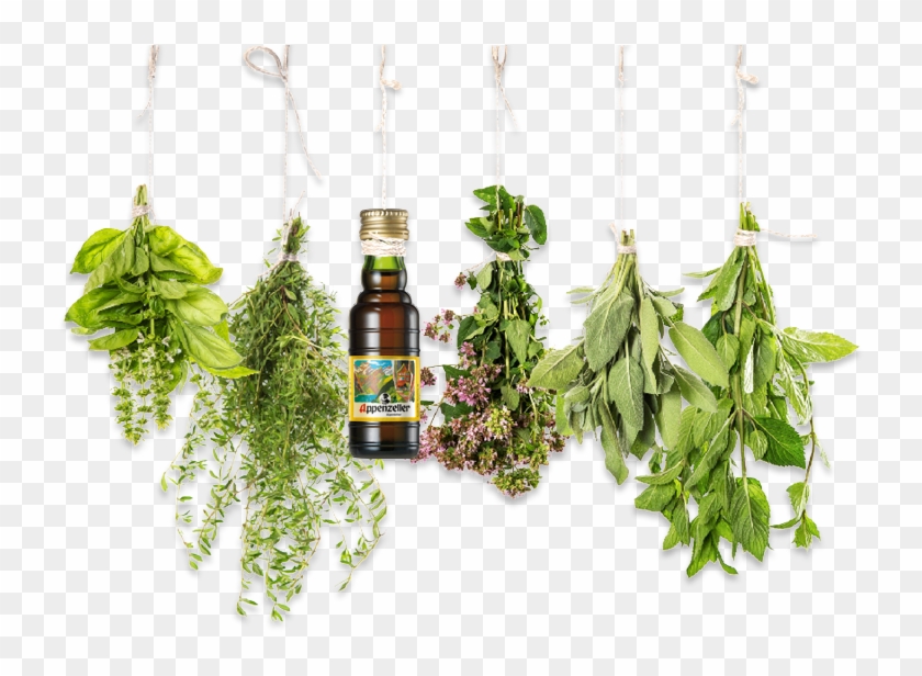 Herbs Png - Herbal Essential Oils Clipart