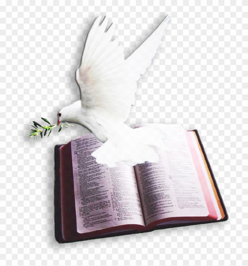 Download Bible With Dove Logo Clipart Png Download - PikPng