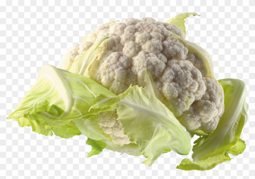 Cabbage Transparent Png Image - Cauliflower Png Clipart