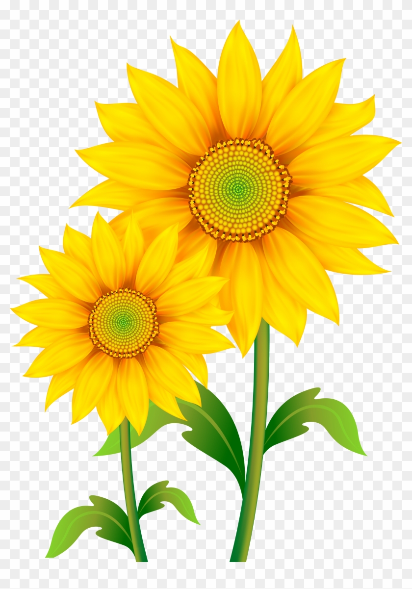 Free Free 190 Sunflower Border Clipart Free SVG PNG EPS DXF File