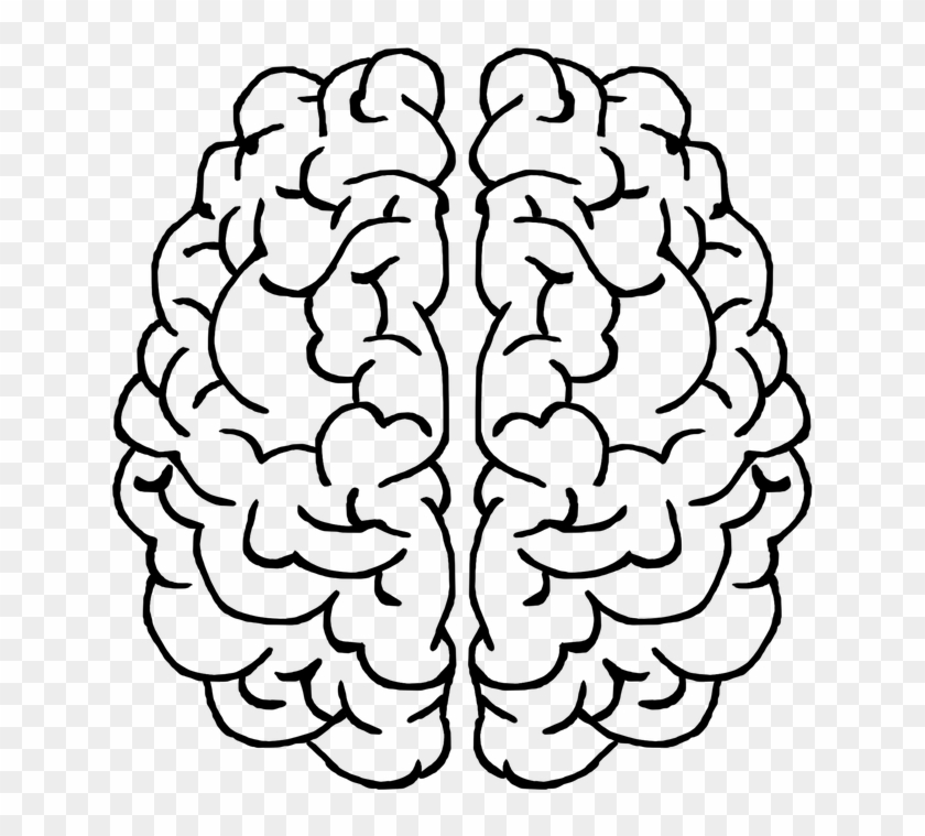 Brain, Mind, Gray Matter, Thought, Head, Ideas - Transparent Background Brain Clip Art - Png Download