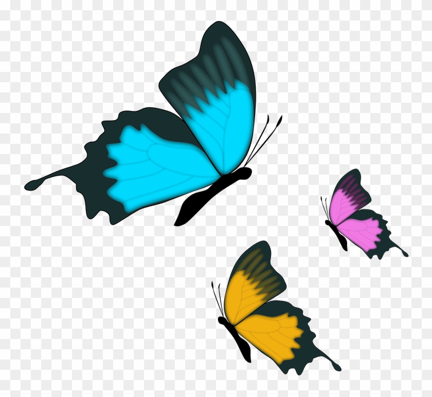 Butterfly Insect Nature - Clip Art Farfalle Png Transparent Png ...