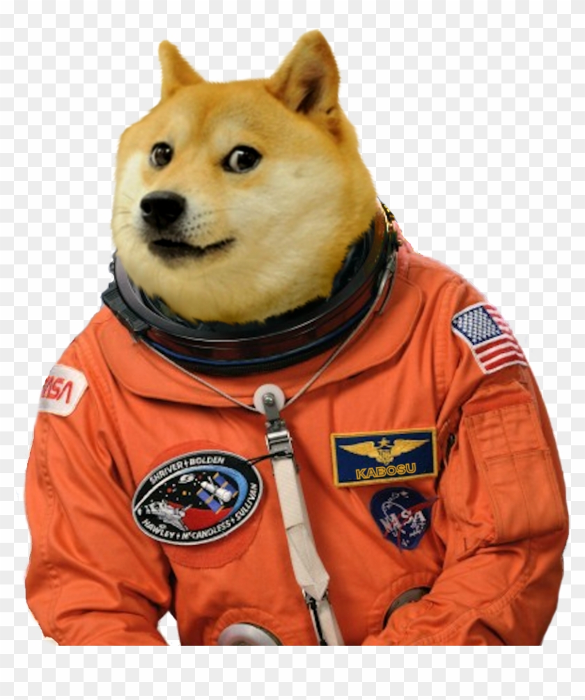 Wow Much Doge Png - Whatsapp Stickers Meme Clipart #1831056