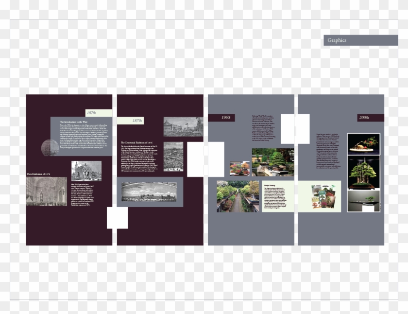 History Of The Bonsai Tree Clipart