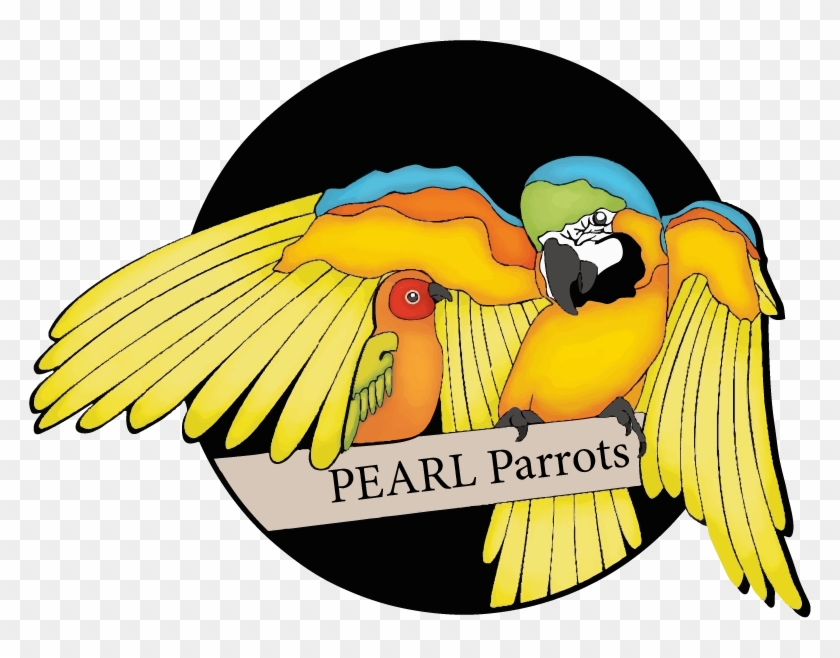 Pearl Parrot Clipart