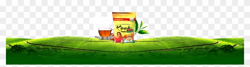 About Us Bg - Kannan Devan Tea Logo Clipart (#2110112) - PikPng