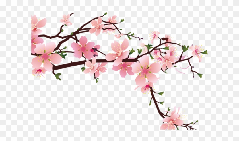 Download Drawn Cherry Blossom Strawberry - Peach Blossom Drawing Png