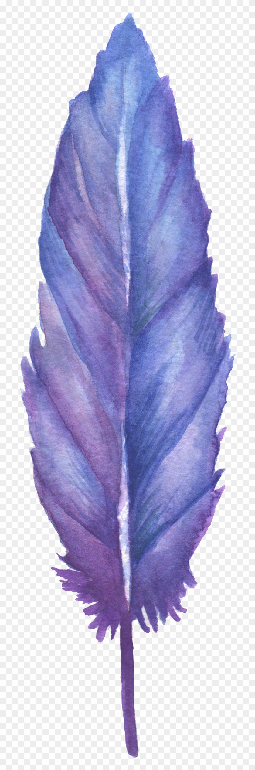 1024 X 2736 5 - Blue And Purple Feather Clipart